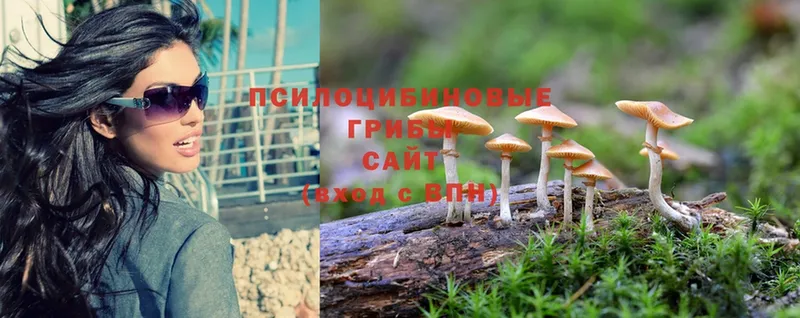 кракен ссылки  что такое наркотик  Баймак  Галлюциногенные грибы MAGIC MUSHROOMS 